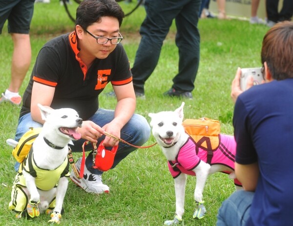 건국대학교(총장 민상기) 캠퍼스타운사업단(단장 김진기)은 오는 27일 오후 5시 30분부터 서울 광진구 능동로 건국대 예술문화관 분수광장에서 ‘2019 KU반려동물 산업과 문예의 거리’ 축제의 하나로 반려동물 행동치료 전문가인 위드펫동물병원 김광식 원장을 초청, ‘반려동물 행동문제 무엇이든 물어보세요-반려동물과 즐겁게 산책하기(Nicely Walk)’를 주제로 반려동물 행동치료 강연을 진행한다. (사진: 건국대 제공)