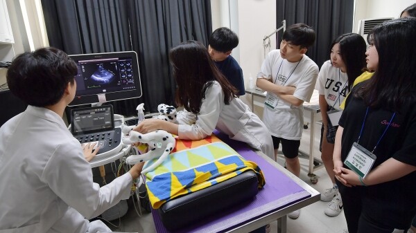 1일 서울 광진구 능동로 건국대학교 동물병원에서 열린 2019년 KU전공체험 행사에서 고교생들이 수의학과의 동물 진료 체험을 하고있다. (사진: 건국대 제공)