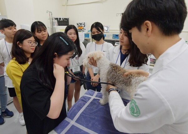 1일 서울 광진구 능동로 건국대학교 동물병원에서 열린 2019년 KU전공체험 행사에서 고교생들이 수의학과의 동물 진료 체험을 하고있다. (사진: 건국대 제공)