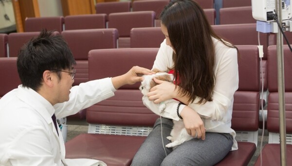 건국대학교(총장 민상기) 캠퍼스타운사업단(단장 김진기)은 오는 3일을 시작으로 매주 토요일 오후 5시 30분부터 서울 광진구 능동로 건국대 예술문화관 분수광장에서 ‘2019 KU반려동물 문화축제’의 하나로 반려동물 행동치료 전문가인 위드펫동물병원 김광식 원장을 초청, ‘반려동물 행동문제 무엇이든 물어보세요-반려동물과 즐겁게 산책하기(Nicely Walk)’를 주제로 반려동물 행동치료 강연을 진행한다. (사진: 건국대 제공)