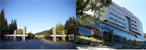 목포대, 순천대