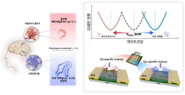 그래핀 바이오센서의 작동 모식도