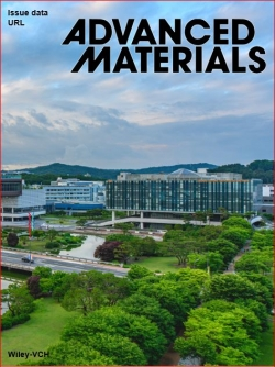 어드밴스드 머터리얼즈 KAIST 특집호 표지