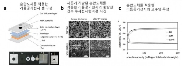 개발된 전지의 구조와 성능.