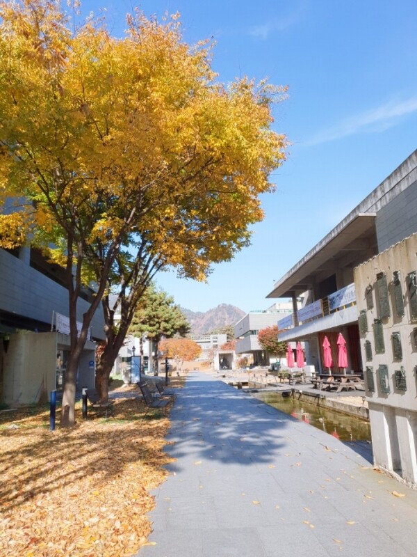 만해마을청소년수련원이 '2020년 청소년수련시설 종합평가'에서 '최우수 등급' 수련시설로 선정됐다. (사진=동국대 제공)