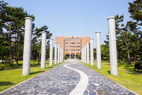 경상대 LINC+사업단과 진주대학생연합봉사단 위더스, 의료봉사동아리 의료연구회, 가호동행정복지센터는 오는 14일 오전 10시부터 오후 2시까지 진주시 가좌동 가좌주공1차아파트에서 제1회 코로나 우울 극복 활동 ‘아름다운 동행, 행복한 실버’ 행사를 개최한다. (사진=경상대 제공)