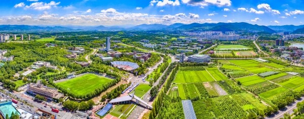 영남대학교가2021년 대구특구 ‘이노폴리스캠퍼스’ 사업에 선정됐다. 영남대 전경. 사진=영남대 제공