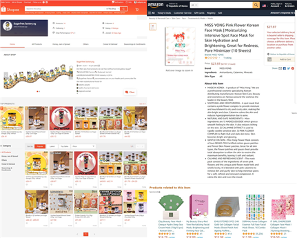 한국외대 GTEP사업단 쇼피, 아마존 진출 사례(홈페이지 캡처). 사진=한국외대 제공