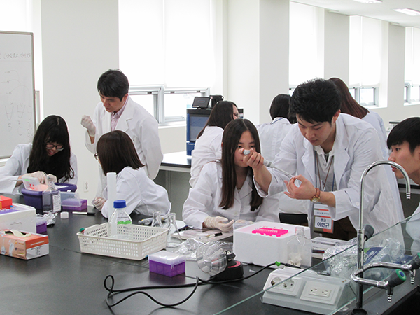 올해부터 학부 선발이 부활한 약대 실습 모습. 동국대 약대 학생들이 실습을 하고 있다. 사진=동국대 제공
