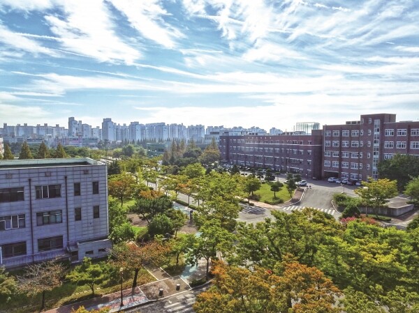 군산대 캠퍼스 전경. 사진=군산대 제공