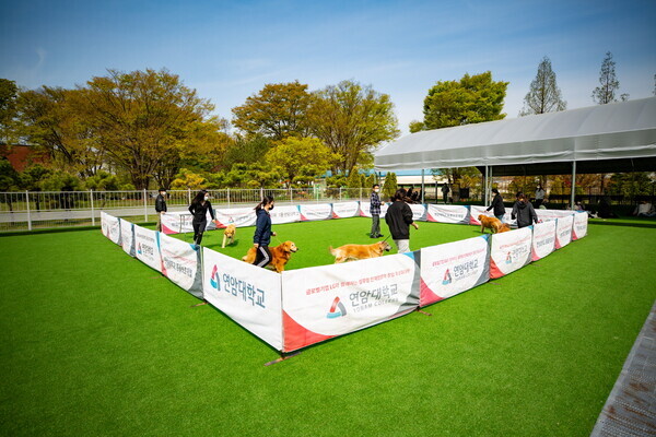 연암대 동물보호계열 학생들이 실외훈련센터에서 반려동물 훈련을 하고 있다. 사진=연암대 제공
