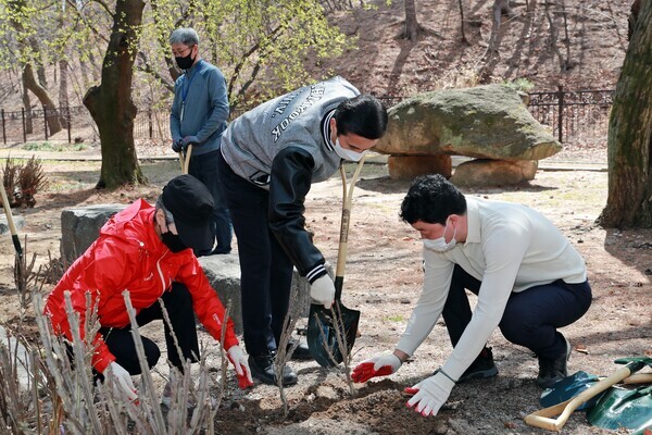 김일목(가운데) 삼육대 총장과 김현희(왼쪽) 부총장이 나무를 심고 있다. 사진=삼육대 제공