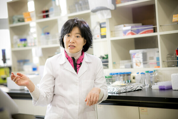 박은정 경희대 의대 교수가 가습기살균제 성분이 폐섬유증을 일으키는 과정에 대해 설명하고 있다. 사진=경희대 제공