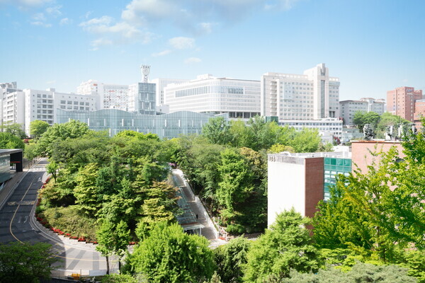 중앙대 서울캠퍼스 전경. 사진=중앙대 제공