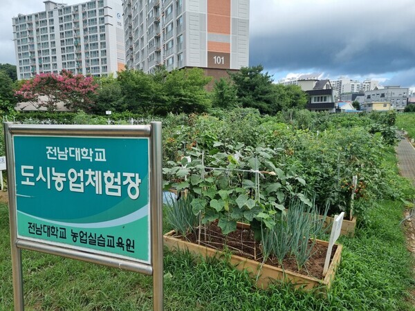 전남대 도시농업체험장.