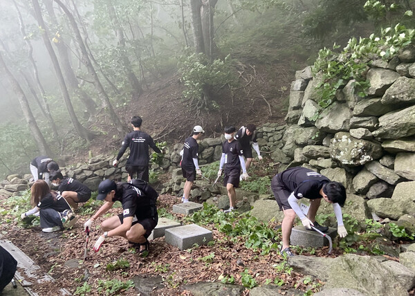 금오공대 학생들이 울릉도 나리분지 주변 시설을 청소하고 있다.