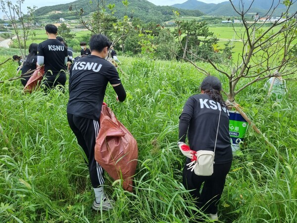군산대학교 학생들이 여름방학을 맞아 부안군 어촌에서 봉사활동을 하고 있다. 사진=군산대 제공