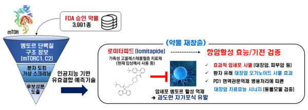 엠토르 억제성 항암제 개발 과정을 보여주는 연구개발 모식도.
