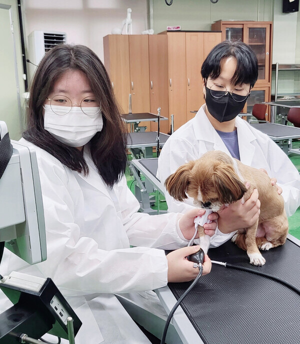 원광대가 2023학년도부터 동물보건학과를 신설해 반려동물 관련 전공 교육을 강화한다. 사진=원광대 제공