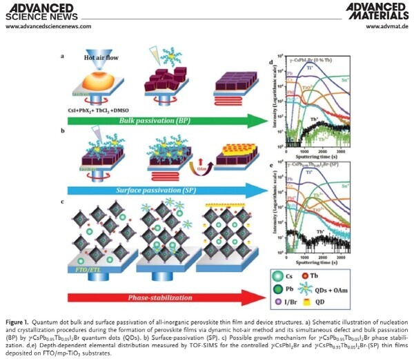 홍창국 교수연구팀의 연구논문 그래픽.