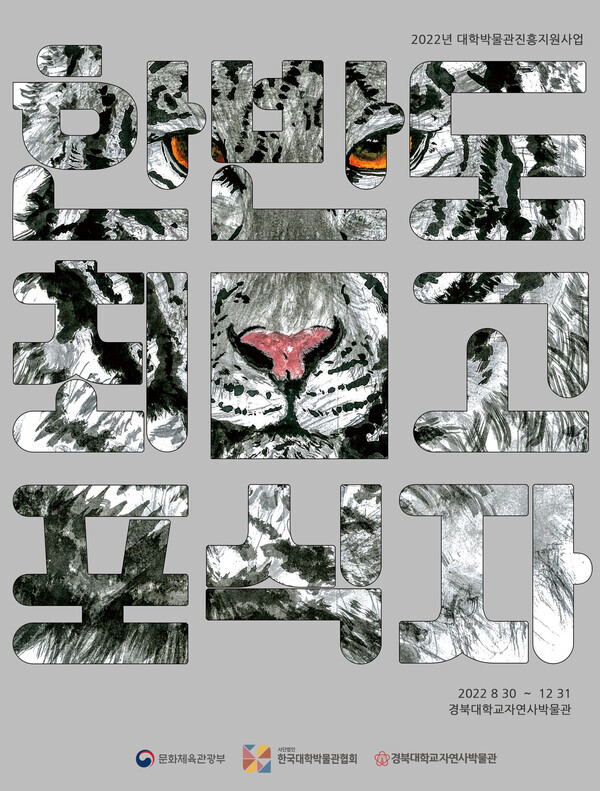 경북대 자연사박물관이 열고 있는‘한반도 최고포식자’ 기획전 포스터.