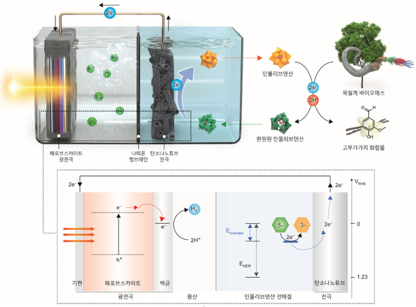 목질계 바이오매스에서 전자를 추출하는 시스템과 태양광 수소 생산 시스템.