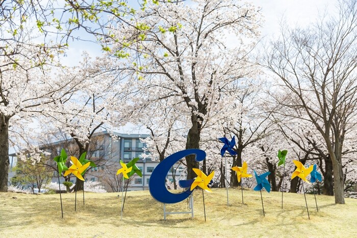 가천대부설원격평생교육원, 문헌정보학사...