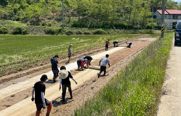 중앙대, 2026 봄 농촌 봉사활동 ...